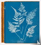 Walther, Peter - Anna Atkins. Cyanotypes