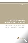 Schelle, Alexej - Formation of a dilute Bose-Einstein condensate