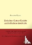 Grimm, Alexander - Zwischen Gottes Gericht und irdischem Strafrecht. Strafe und Bu e in Lebensbeschreibungen ottonisch-salischer Reichsbisch fe. Eine Studie zu den Wurzeln des modernen Strafrechts