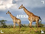Ackermann Kunstverlag GmbH - Afrika Gallery Kalender 2027