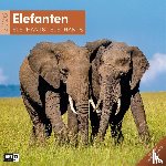  - Elefanten Broschürenkalender 2026 - 30x30 - Art12