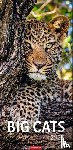  - Big Cats Kalender 2026