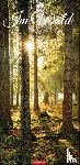  - Im Wald Kalender 2026