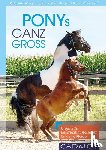 Katzenberger, Ruth, Katzenberger, Yvonne, Kohlschmid, Helene - Ponys ganz groß