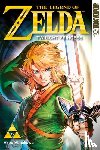 Himekawa, Akira - The Legend of Zelda