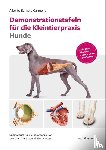 Berneto Carmona, Alberto - Demonstrationstafeln für die Kleintierpraxis Hunde