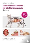 Palmero Colado, María Luisa - Demonstrationstafeln für die Kleintierpraxis Katzen