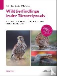 Baumgartner, Katrin, Karbe, Fritz - Wildtierfindlinge in der Tierarztpraxis