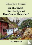 Storm, Theodor - In St. Jurgen / Eine Halligfahrt / Draussen im Heidedorf