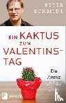 Schmidt, Peter - Ein Kaktus zum Valentinstag