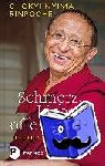 Nyima, Chökyi - Schmerz, Liebe, offene Weite