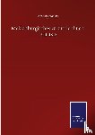 Anonymous - Meklenburgisches Urkundenbuch 1301-1312