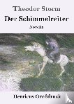 Storm, Theodor - Der Schimmelreiter (Grossdruck)