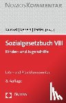  - Sozialgesetzbuch VIII