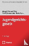  - Jugendgerichtsgesetz