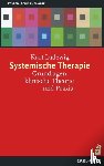 Ludewig, Kurt - Systemische Therapie