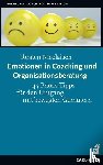 Nicolaisen, Torsten - Emotionen in Coaching und Organisationsberatung