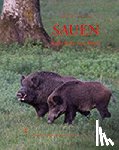 Zeiler, Markus, Zeiler, Hubert - Sauen