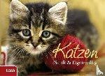  - Katzen