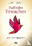Foster, Jeff - Radikales Erwachen