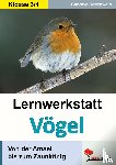 Rosenwald, Gabriela - Lernwerkstatt Vögel Von der Amsel bis zum Zaunkönig