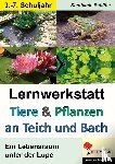 Schäfer, Stephanie - Tiere & Pflanzen an Teich und Bach