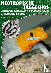 Röll, Beate - Neotropische Taggeckos