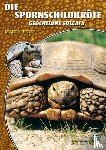 Herz, Mario - Die Spornschildkröte