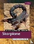 Mahsberg, Dieter, Lippe, Rüdiger, Kallas, Stephan - Skorpione
