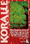 Brockmann, Dieter - Großpolypige Steinkorallen