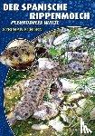 Schorn, Stephan - Der spanische Rippenmolch
