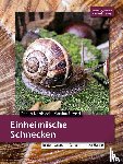 Nordsiek, Robert, Brugsch, Micaela - Einheimische Schnecken