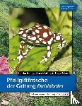 Honigs, Sandra, Meßing, Marc, Pelzer, Beate - Pfeilgiftfrösche der Gattung Excidobates