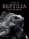 Krausz, Tom, Heidenreich, Elke, Werning, Heiko, Böhme, Wolfgang - REPTILIA