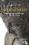 Goldstein, Joseph - Achtsamkeit Bd. 2