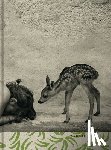 Laboile, Alain - Summer of the Fawn