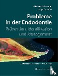 Hülsmann, Michael, Schäfer, Edgar - Probleme in der Endodontie