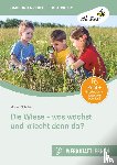 Schober, Marina - Die Wiese - was wächst und kriecht denn da?