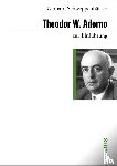 Schweppenhäuser, Gerhard - Theodor W. Adorno zur Einführung