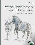 Schnitzer, Ulrich - Pferde versammeln vom Boden aus