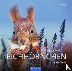 Meier, Tine - Leben mit Eichhörnchen in der Stadt