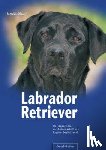 Schwab, Monika - Labrador Retriever - Der Apportierer aus Leidenschaft als idealer Begleithund