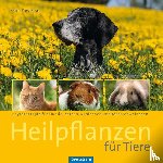 Pawletko, Petra - Heilpflanzen für Tiere