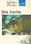 Baars, Konrad, Mathes, Elisabeth, Stein, Herbert, Steinhörster, Udo - Die Äsche