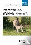 Vanselow, Renate Ulrike - Pferdeweide-Weidelandschaft