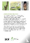 Graßmann, Farina - Wunderwelt Totholz