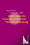 Klein, Rudolf, Kannicht, Andreas - Einführung in die Praxis der systemischen Therapie und Beratung