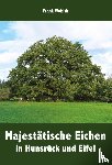 Wobith, Frank - Majestätische Eichen in Hunsrück und Eifel