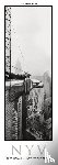 Hamann, Horst - New York Vertical