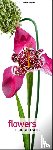 Fischer, Richard - Flowers